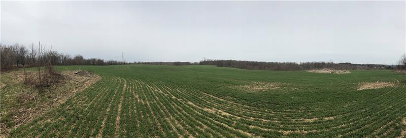 373 Georgetown Road Darlington, PA 16115 - Photo 2 of 16 Panoramic view of the open field, edged by trees.