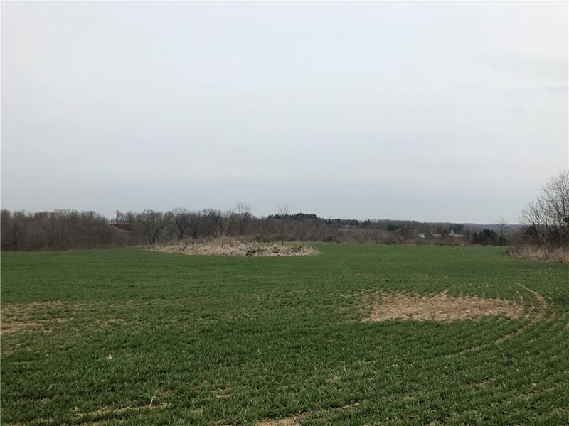 373 Georgetown Road Darlington, PA 16115 - Photo 4 of 16 View of the countryside.