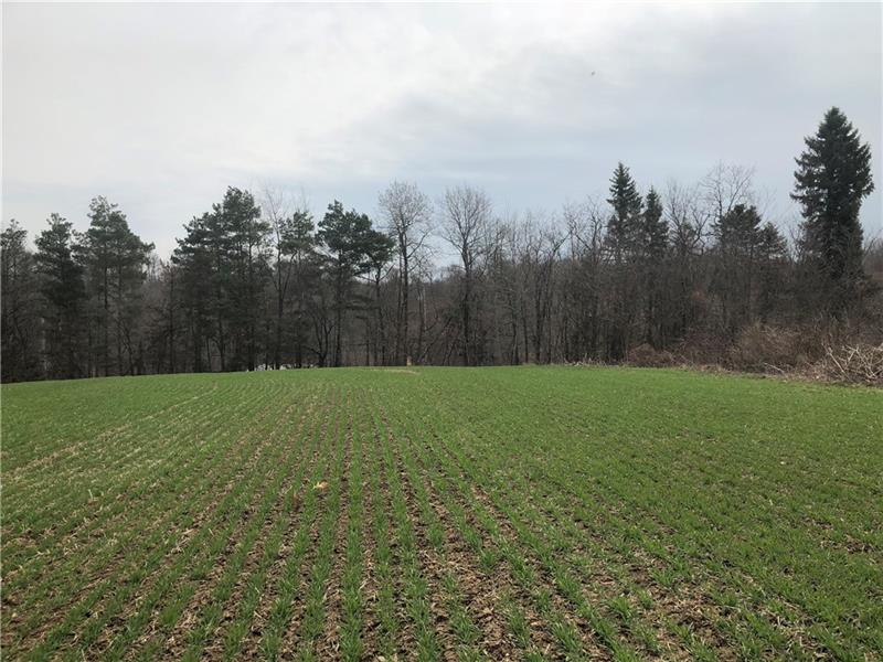 373 Georgetown Road Darlington, PA 16115 - Photo 5 of 16 Large field surrounded by trees.