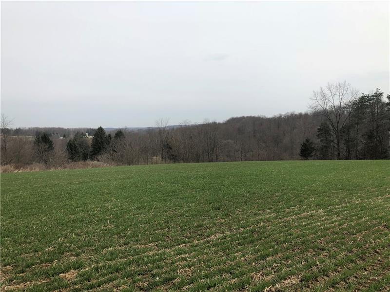 373 Georgetown Road Darlington, PA 16115 - Photo 6 of 16 View of the countryside.