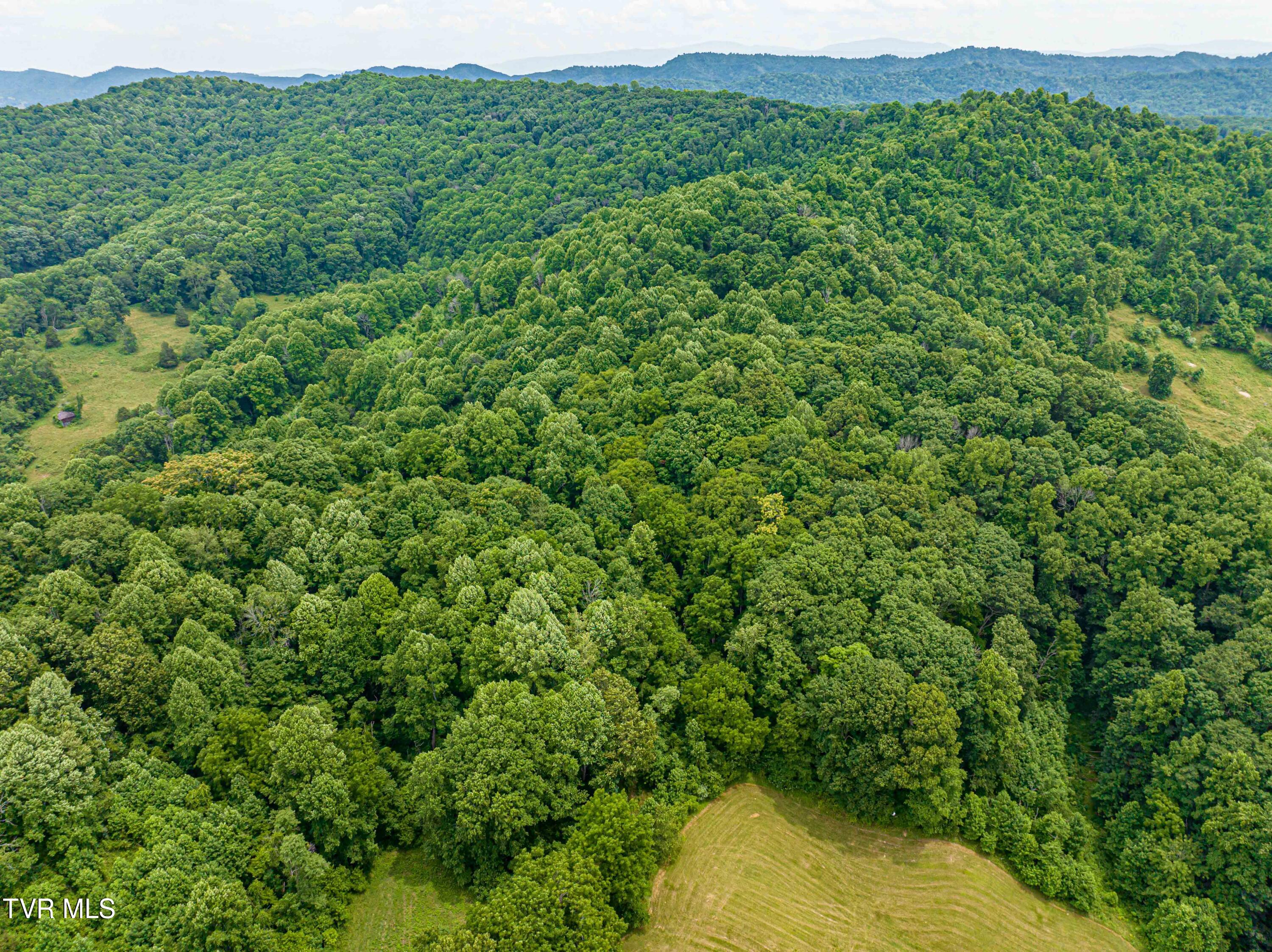 30250 Rich Valley Road Meadowview, VA 24361 - Photo 11 of 25 Rich Valley -06