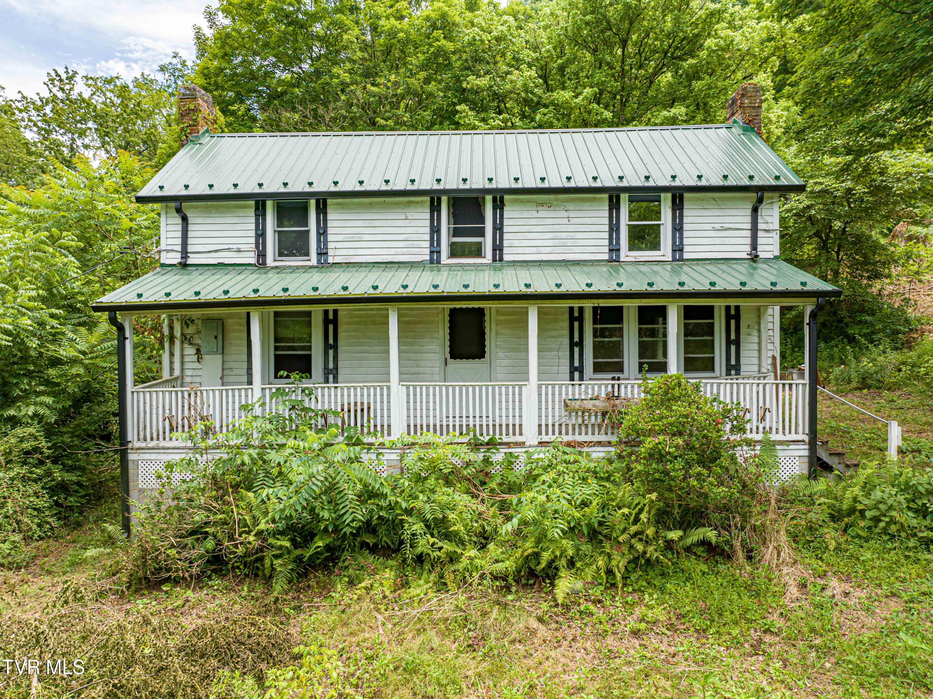 30250 Rich Valley Road Meadowview, VA 24361 - Photo 3 of 25 Rich Valley -39