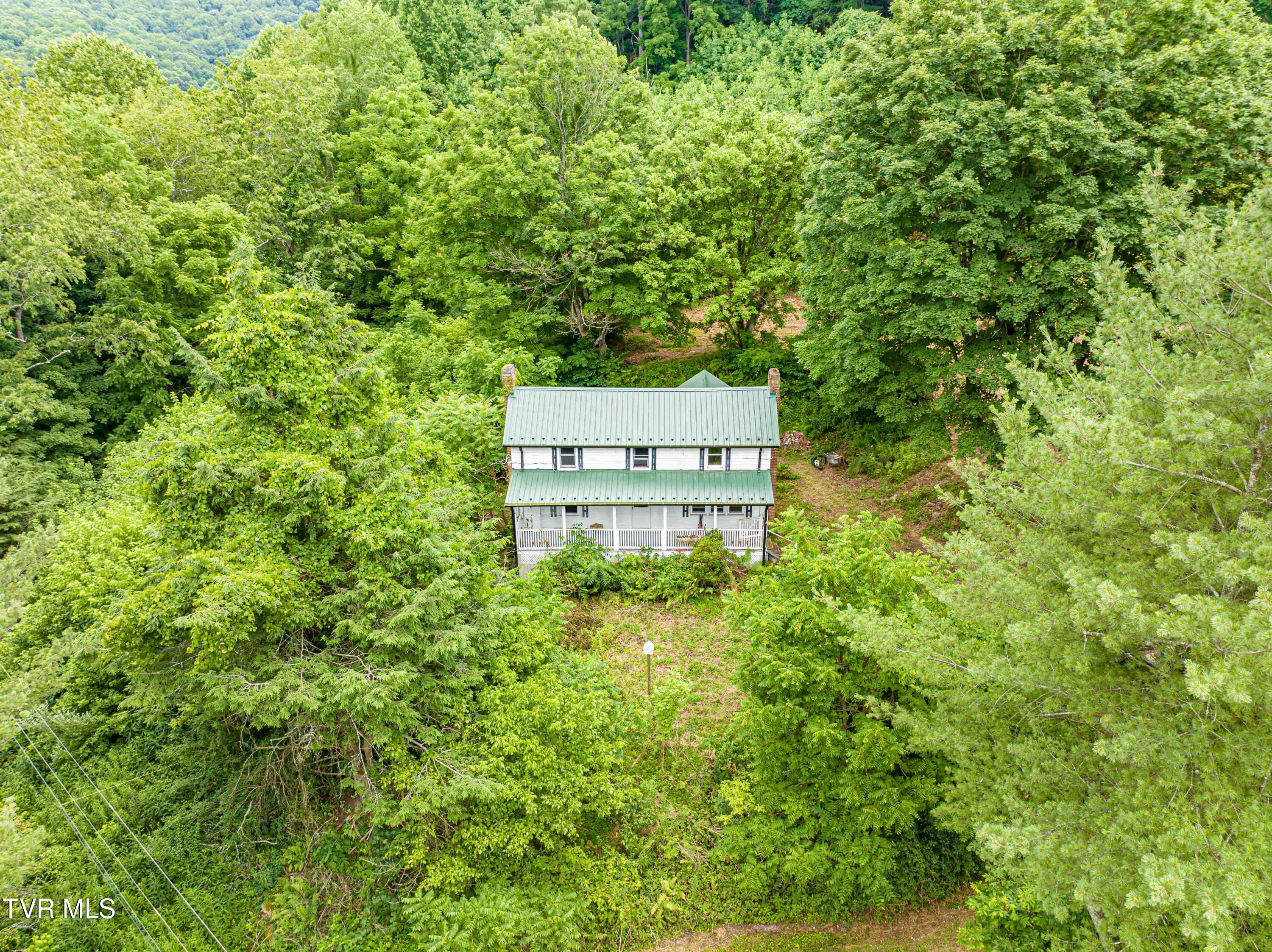 30250 Rich Valley Road Meadowview, VA 24361 - Photo 4 of 25 Rich Valley -23