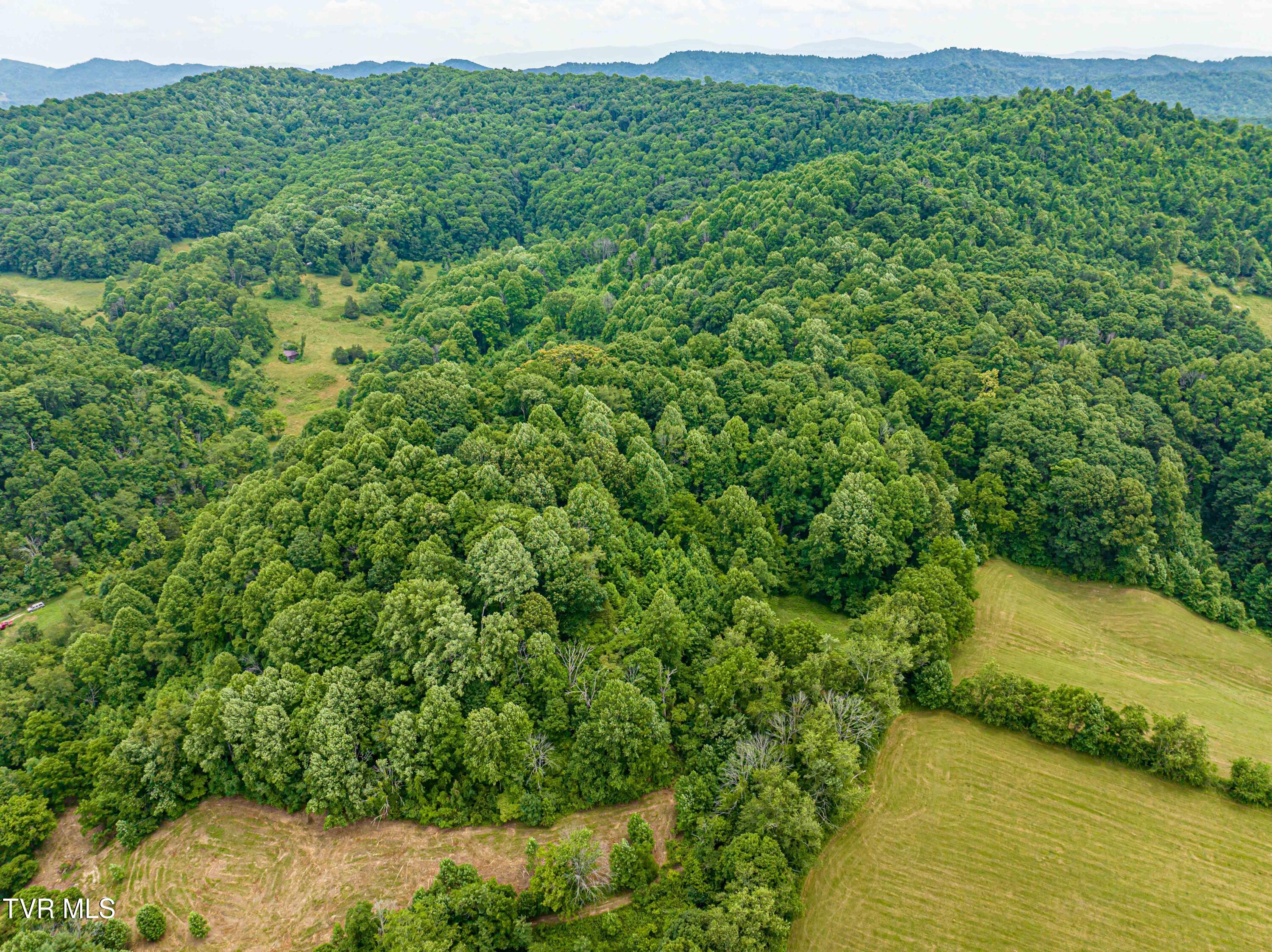 30250 Rich Valley Road Meadowview, VA 24361 - Photo 10 of 25 Rich Valley -05