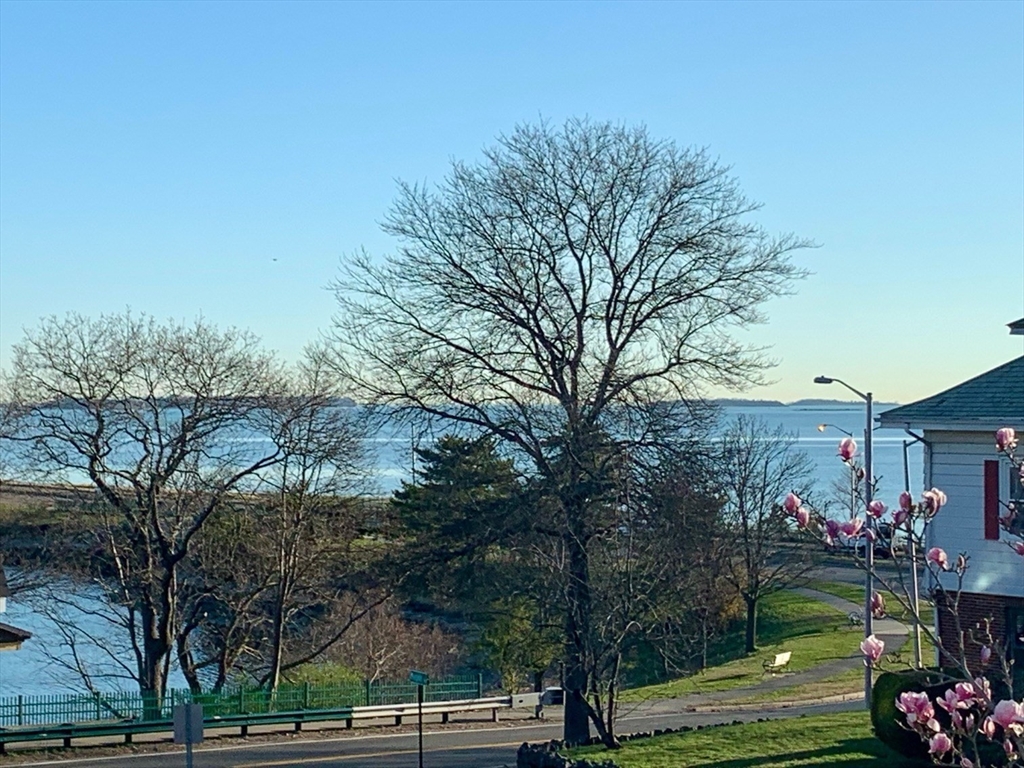 15 Maypole Road Quincy, MA 02169 - Photo 28 of 28 a view of outdoor space and garden view