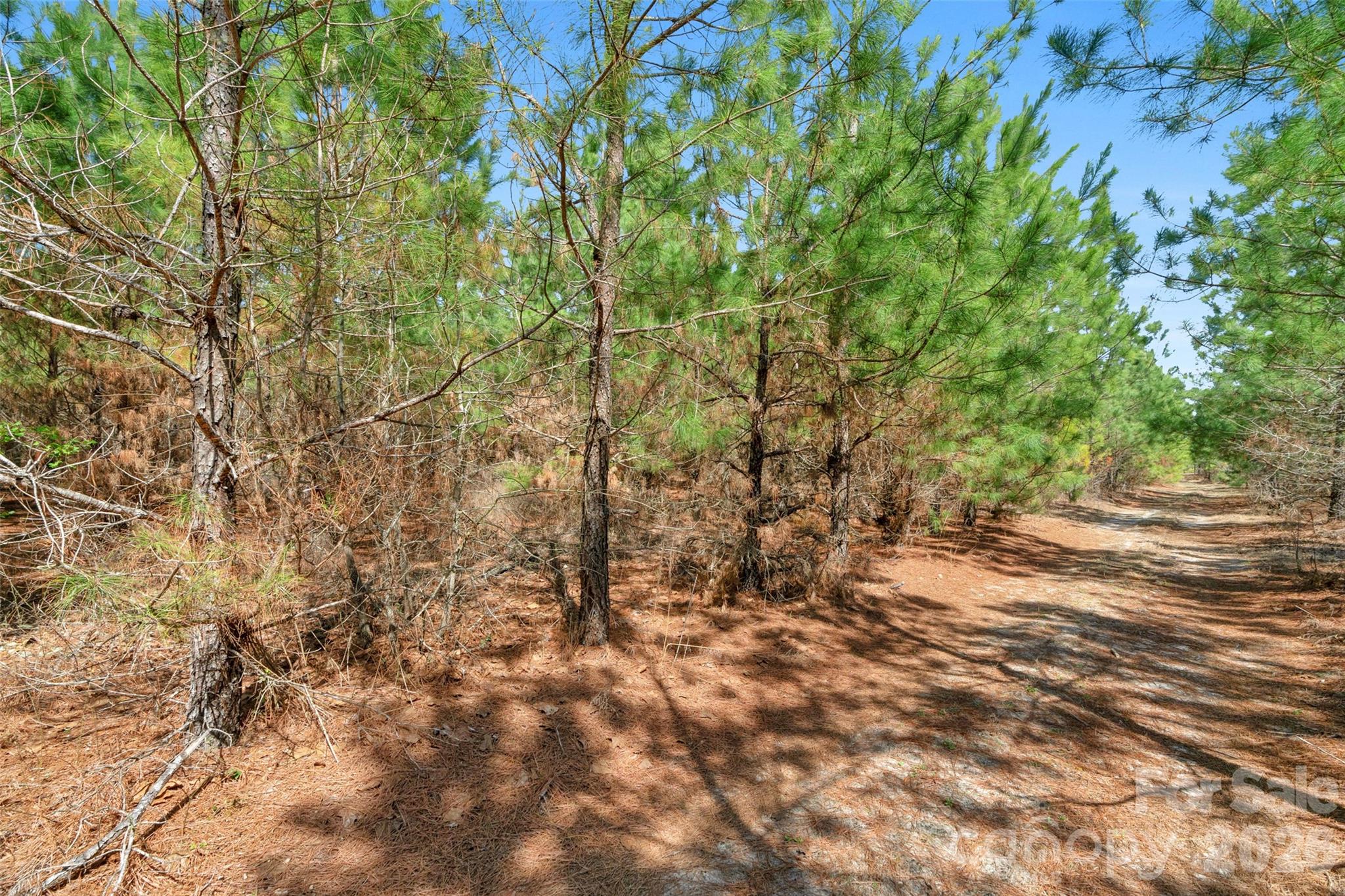 931 Charlie Johnson Road, Unit 7 Kershaw, SC 29067 - Photo 20 of 34
