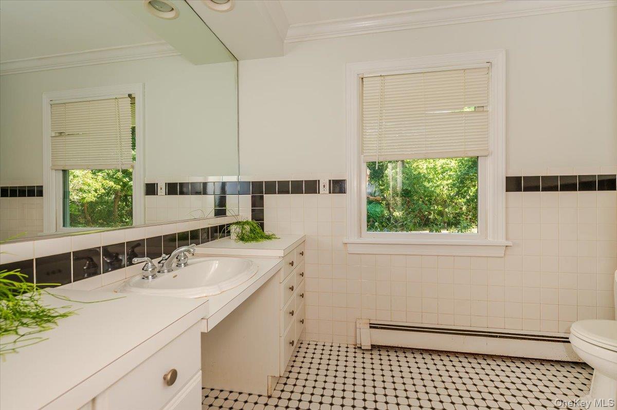 237 Oakwood Road Huntington, NY 11743 - Photo 20 of 29 a bathroom with a sink a toilet and a mirror