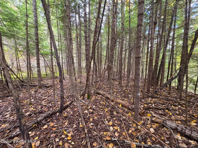 $325,000 | 10755 Old River Road, Kingston, ID 83839