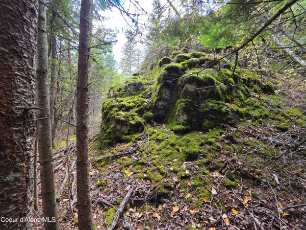 $325,000 | 10755 Old River Road, Kingston, ID 83839