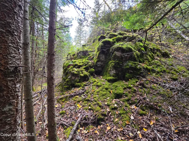 $325,000 | 10755 Old River Road, Kingston, ID 83839