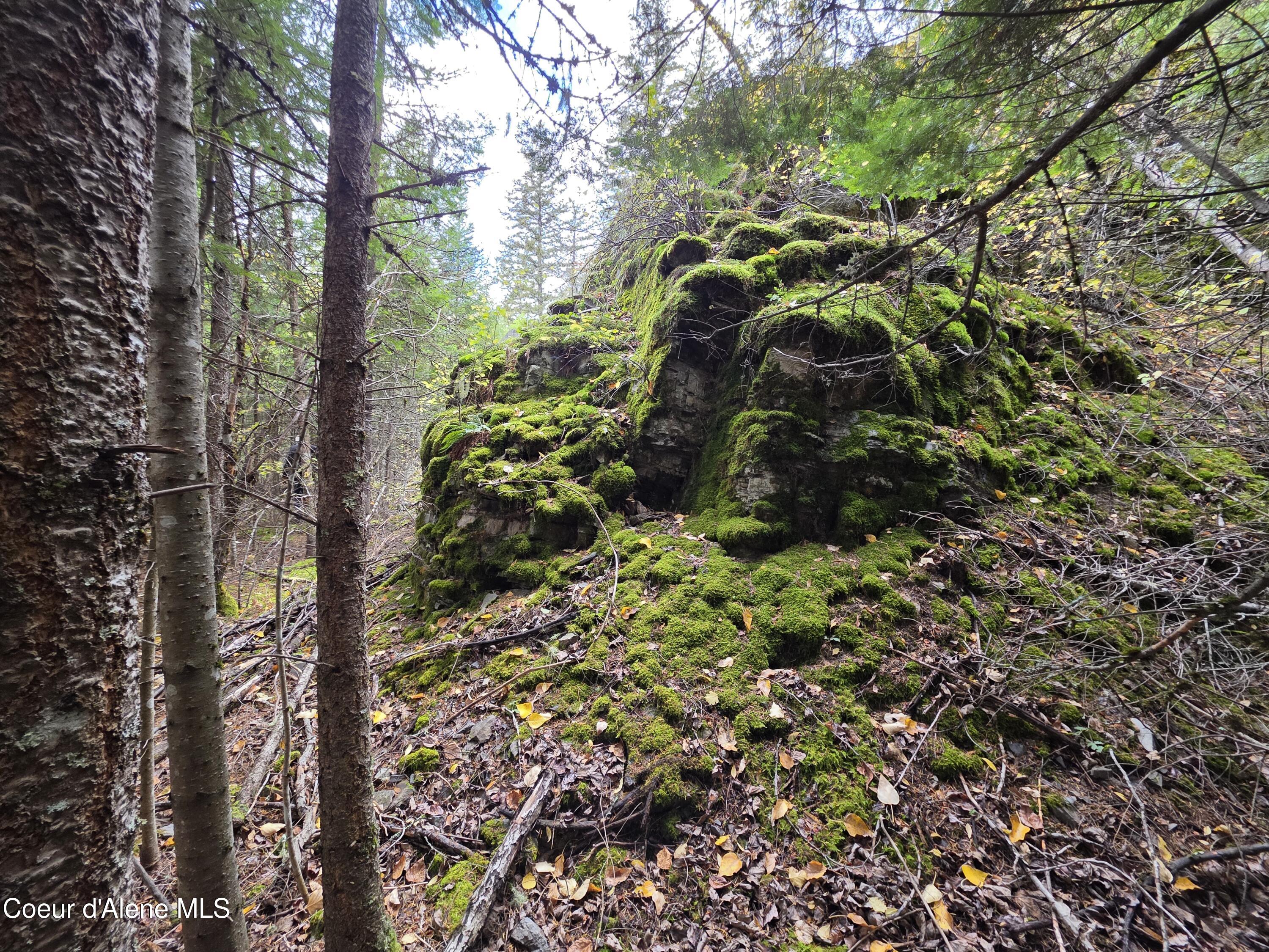 10755 Old River Road Kingston, ID 83839 - Photo 19 of 58 10755 OLD RIVER RD, Kingston, ID 83839