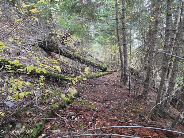 $325,000 | 10755 Old River Road, Kingston, ID 83839