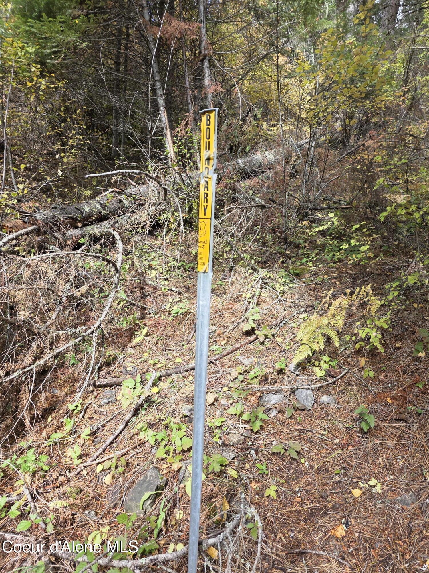 10755 Old River Road Kingston, ID 83839 - Photo 24 of 58 10755 OLD RIVER RD, Kingston, ID 83839