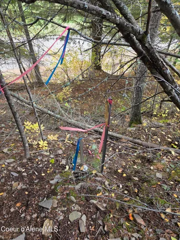 $325,000 | 10755 Old River Road, Kingston, ID 83839