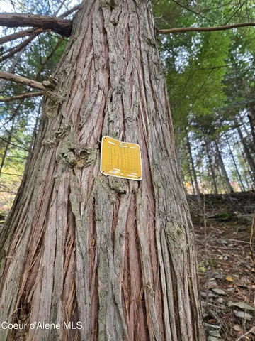 $325,000 | 10755 Old River Road, Kingston, ID 83839