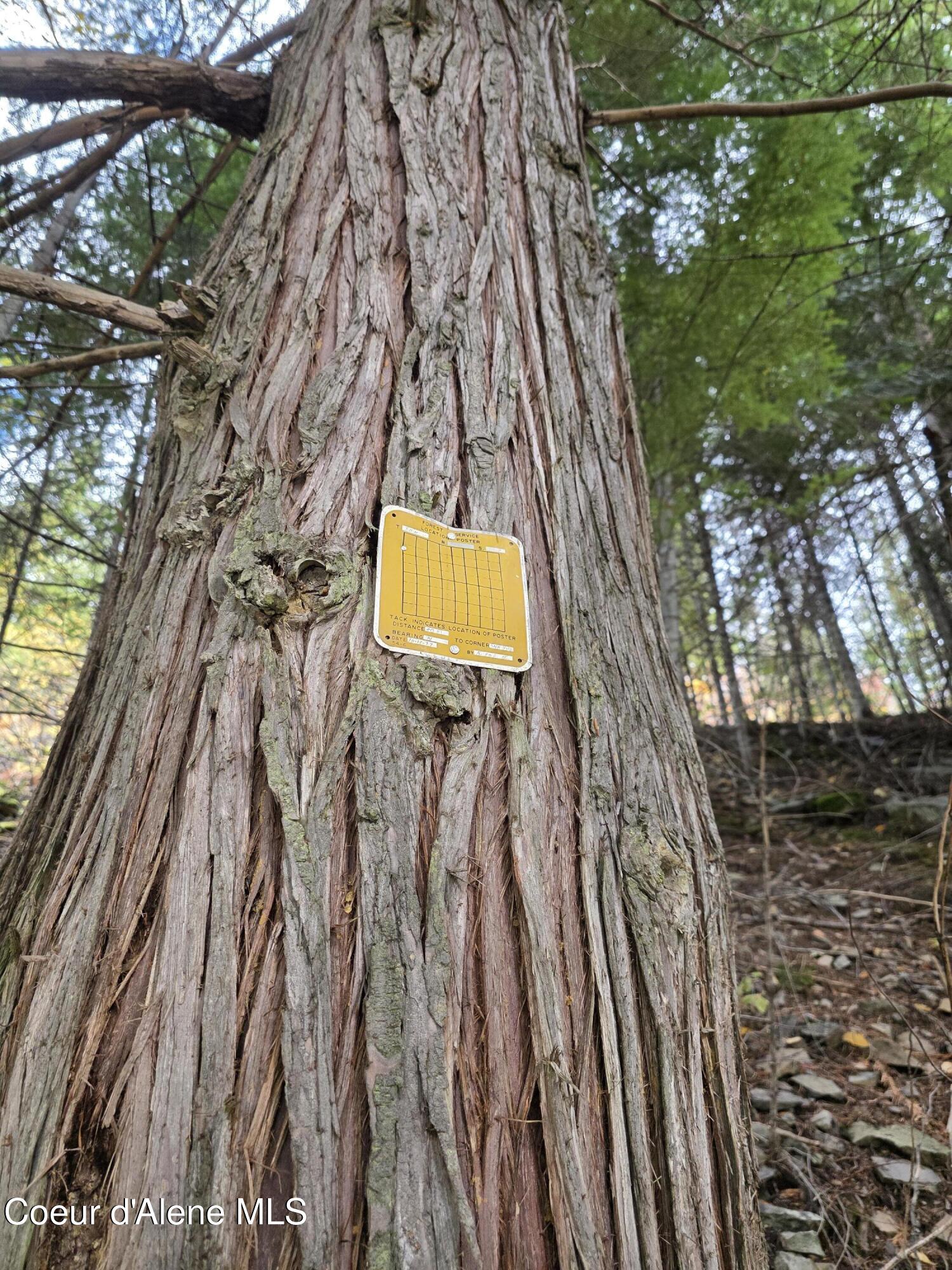 10755 Old River Road Kingston, ID 83839 - Photo 30 of 58 10755 OLD RIVER RD, Kingston, ID 83839