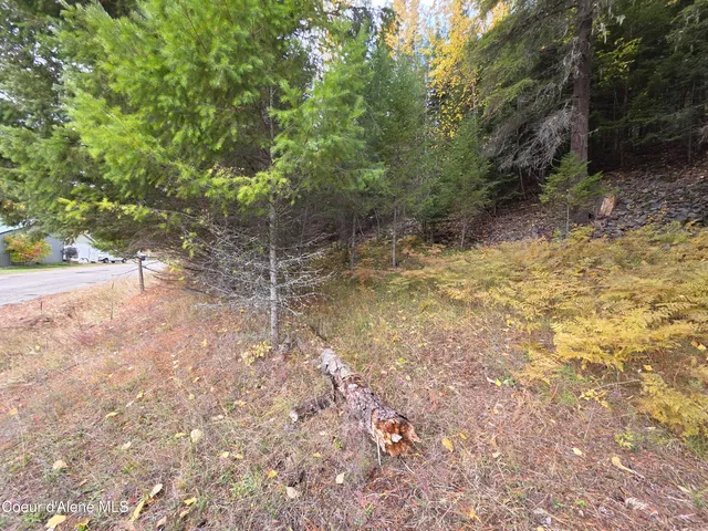 $325,000 | 10755 Old River Road, Kingston, ID 83839