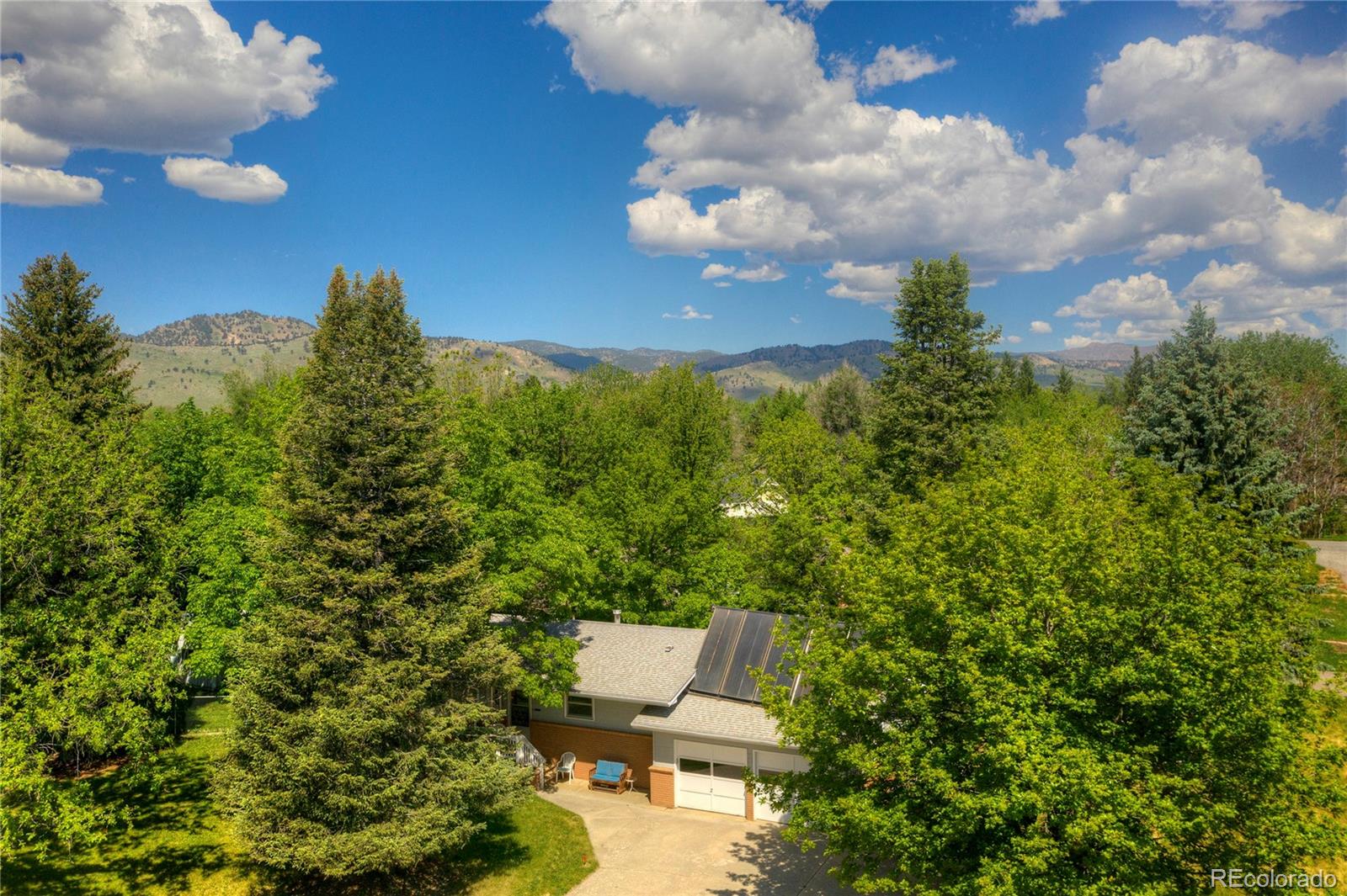a view of a yard with plants and a fountain