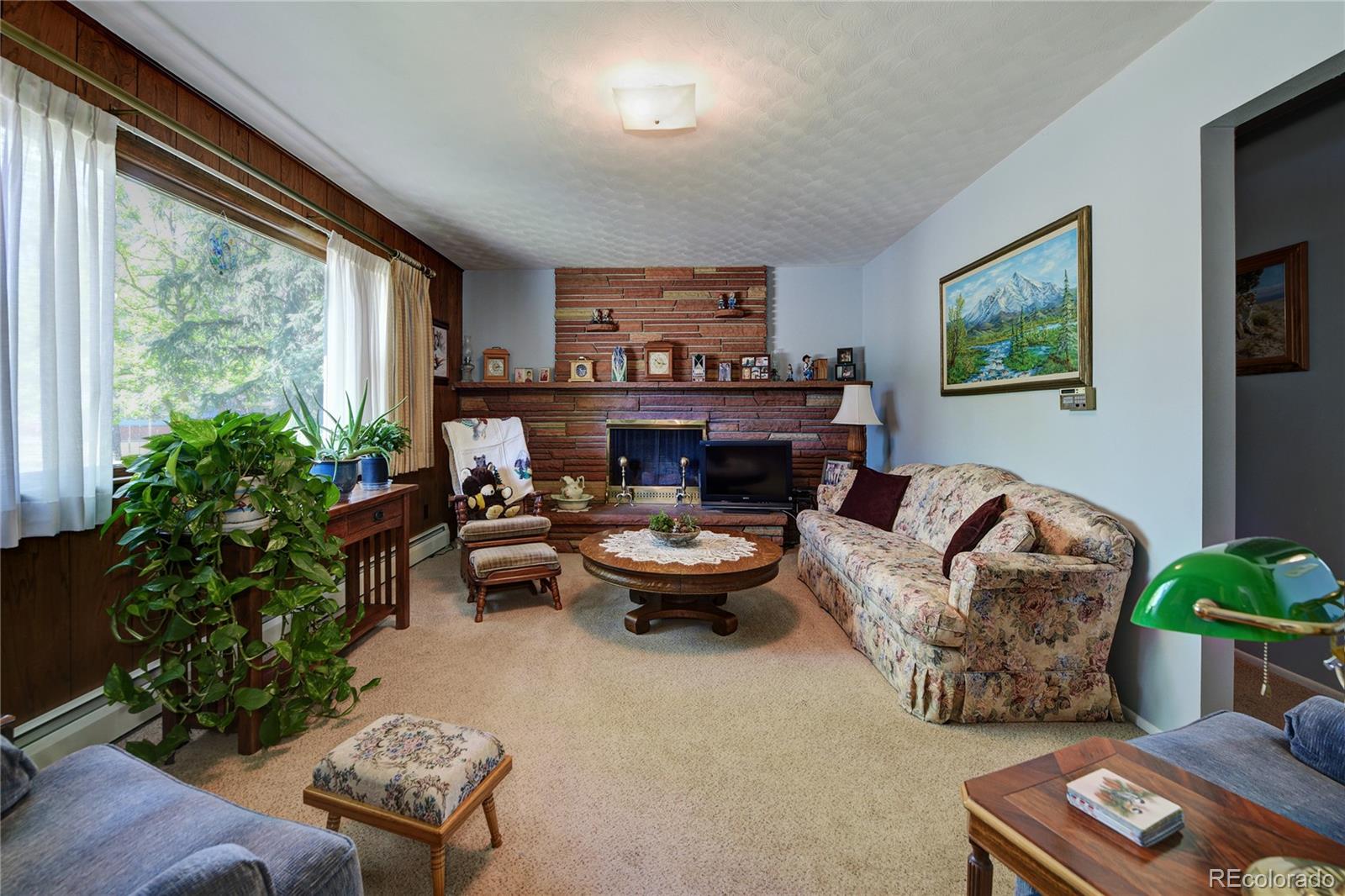 4405 Agate Road Boulder, CO 80304 - Photo 9 of 40 a living room with furniture and a potted plant