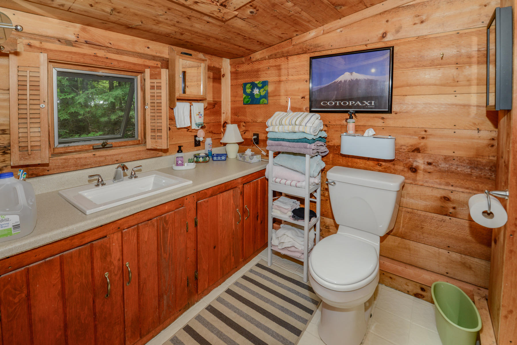 157 Lower Coffee Pond Road Casco, ME 04015 - Photo 68 of 76 157 coffee pond-78