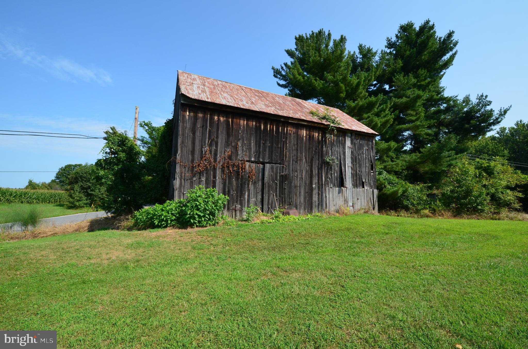 381 Jewell Road Dunkirk, MD 20754 - Photo 7 of 9