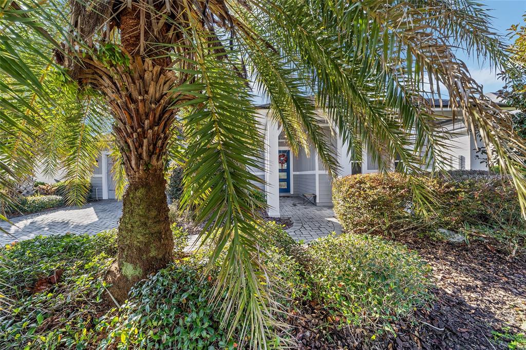 11895 Southwest 33 Lane Gainesville, FL 32608 - Photo 7 of 67 a view of a garden