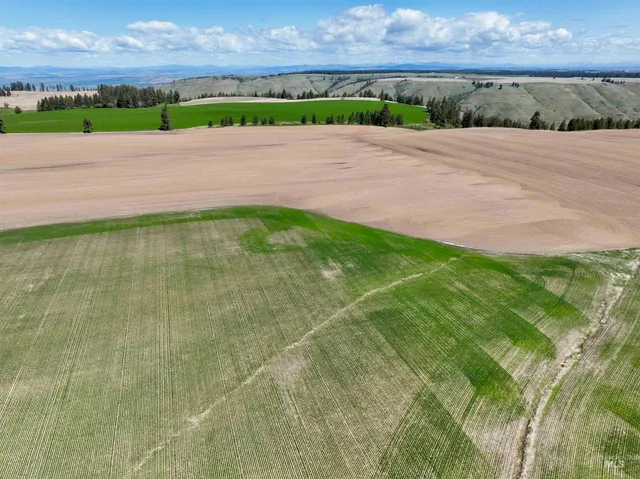 $598,000 | Tbd Fowler Road, Culdesac, ID 83524