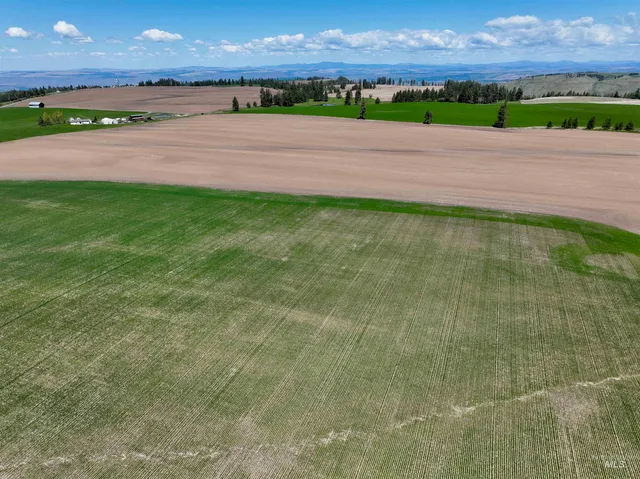 $598,000 | Tbd Fowler Road, Culdesac, ID 83524