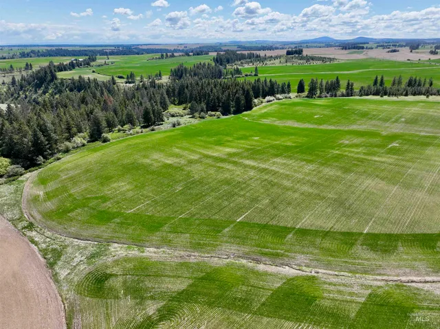 $598,000 | Tbd Fowler Road, Culdesac, ID 83524