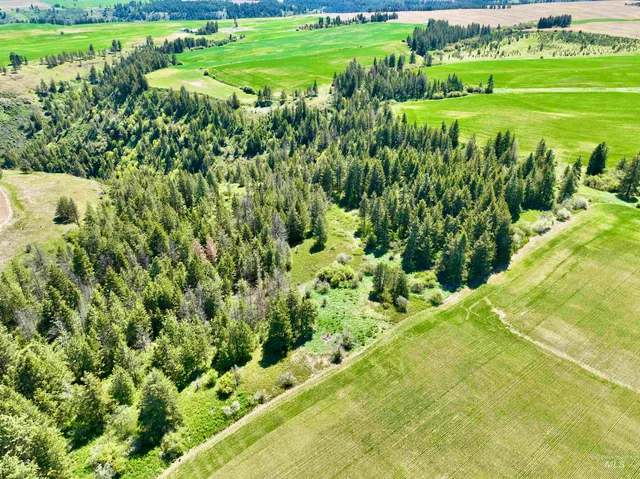 $598,000 | Tbd Fowler Road, Culdesac, ID 83524