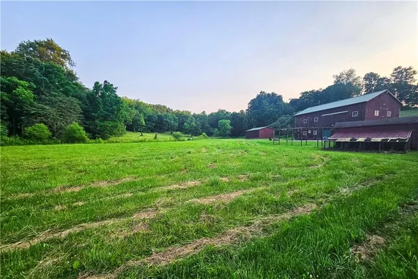 a view of a park with large trees
