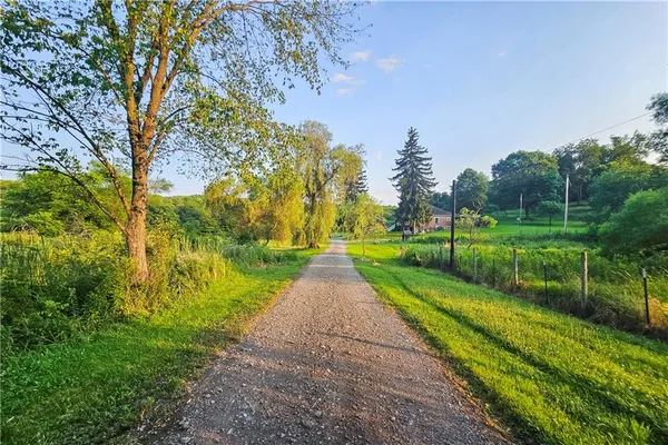 a view of a grassy field with an trees