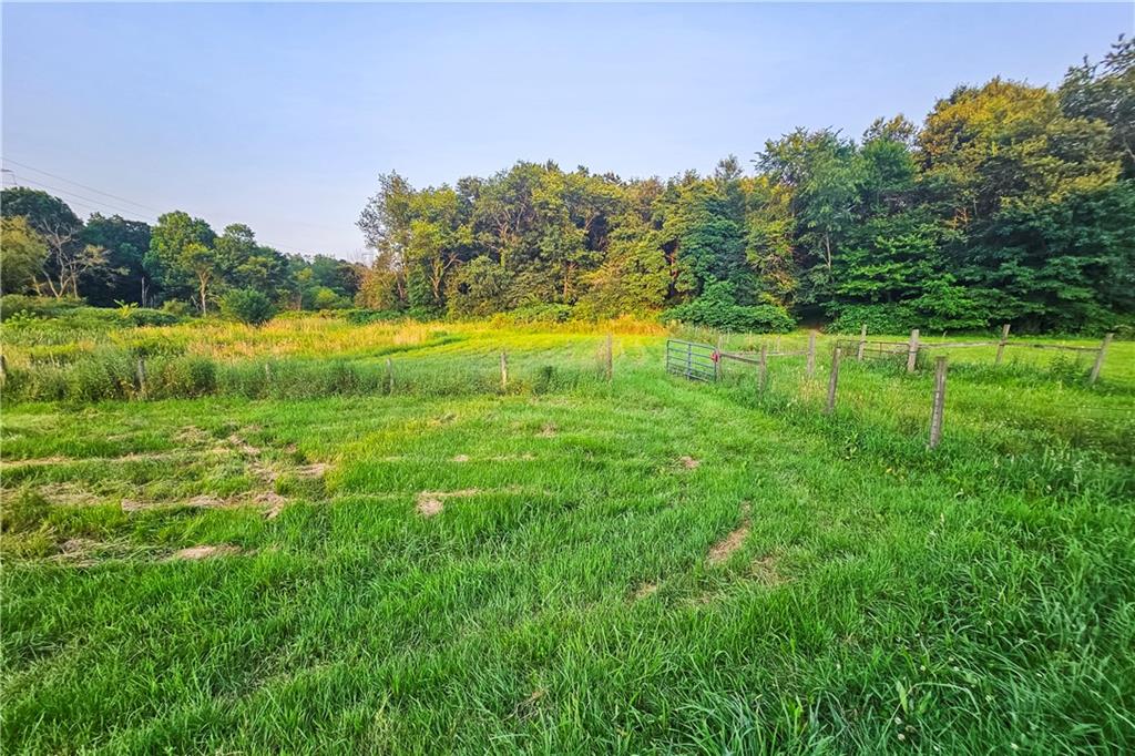 221 Mc Caughtry Run Road Darlington, PA 16115 - Photo 26 of 50 a view of a grassy field with an trees
