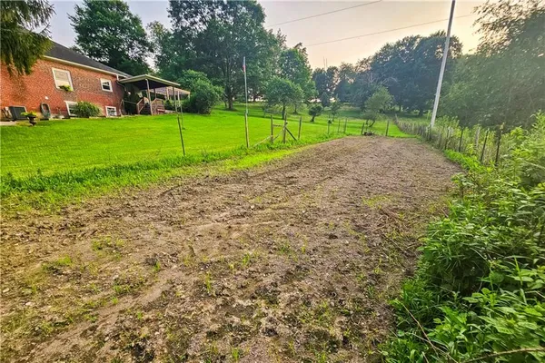 a view of a backyard with plants and a garden