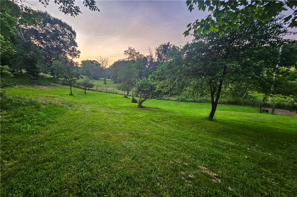 221 Mc Caughtry Run Road Darlington, PA 16115 - Photo 30 of 50 a view of field with tall trees