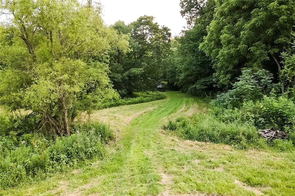 221 Mc Caughtry Run Road Darlington, PA 16115 - Photo 33 of 50 a view of a yard with plants and large trees