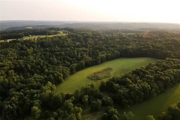 a view of a forest with a lake