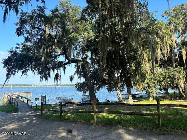 a view of a park with large trees