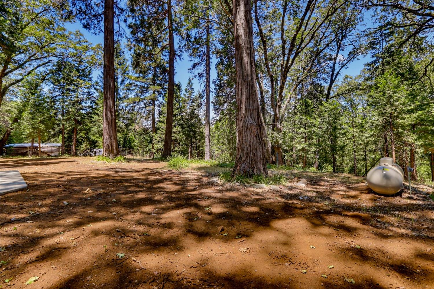 13316 Banner Lava Cap Road Nevada City, CA 95959 - Photo 64 of 73