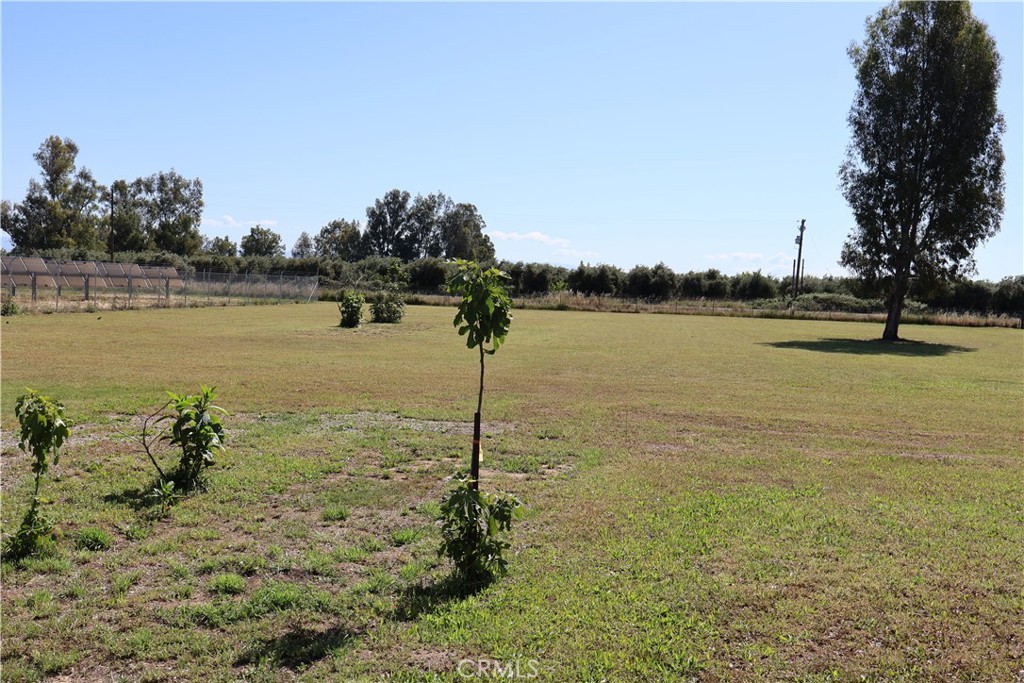 22189 Samson Avenue Corning, CA 96021 - Photo 45 of 59