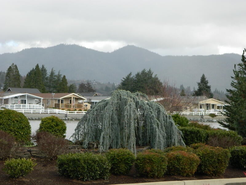 2373 Webster Road Grants Pass, OR 97526 - Photo 38 of 47 Lake Across the street