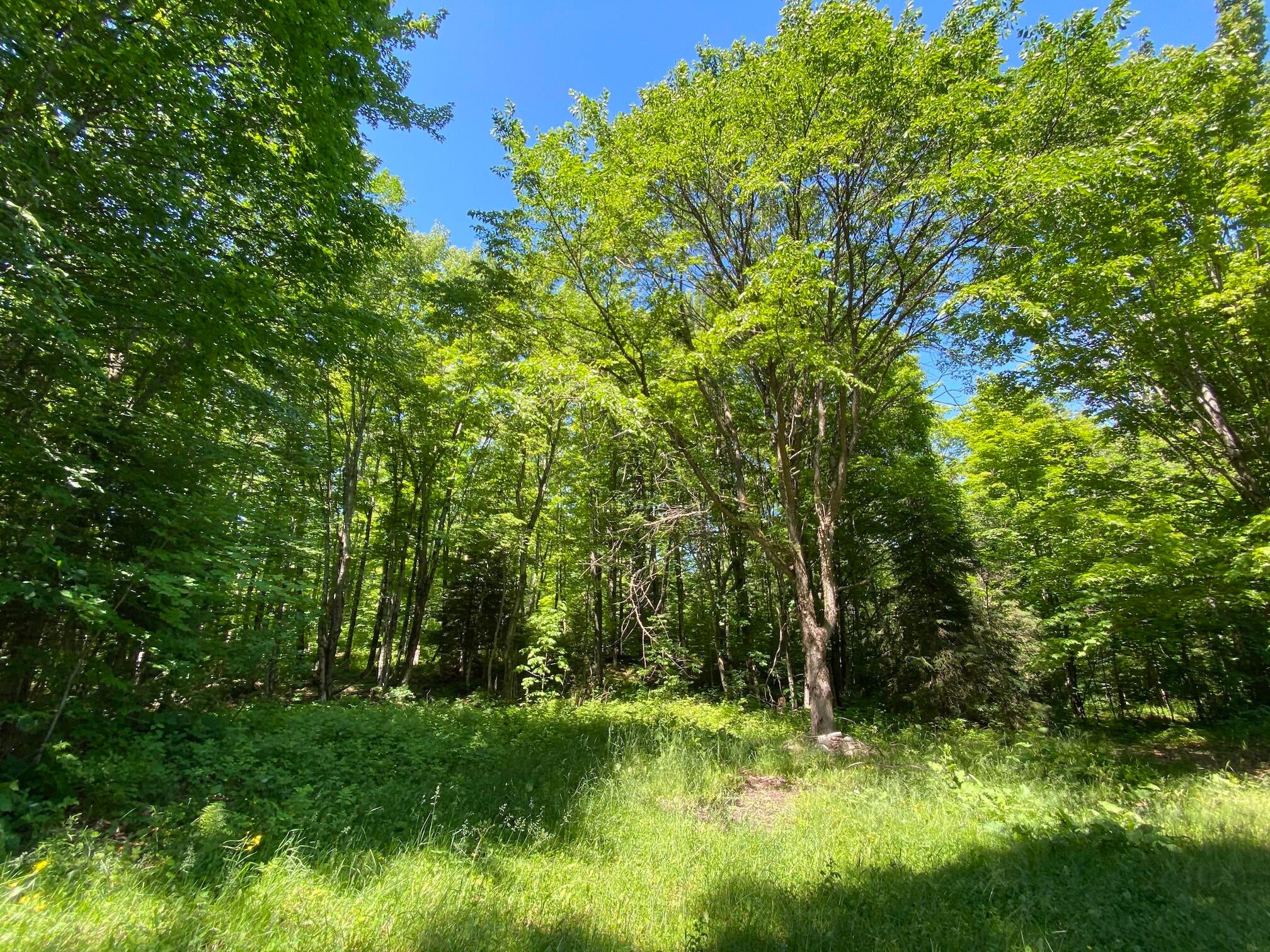 9977 South North Hulbert Road Hulbert, MI 49748 - Photo 60 of 60 Gallery Image 60