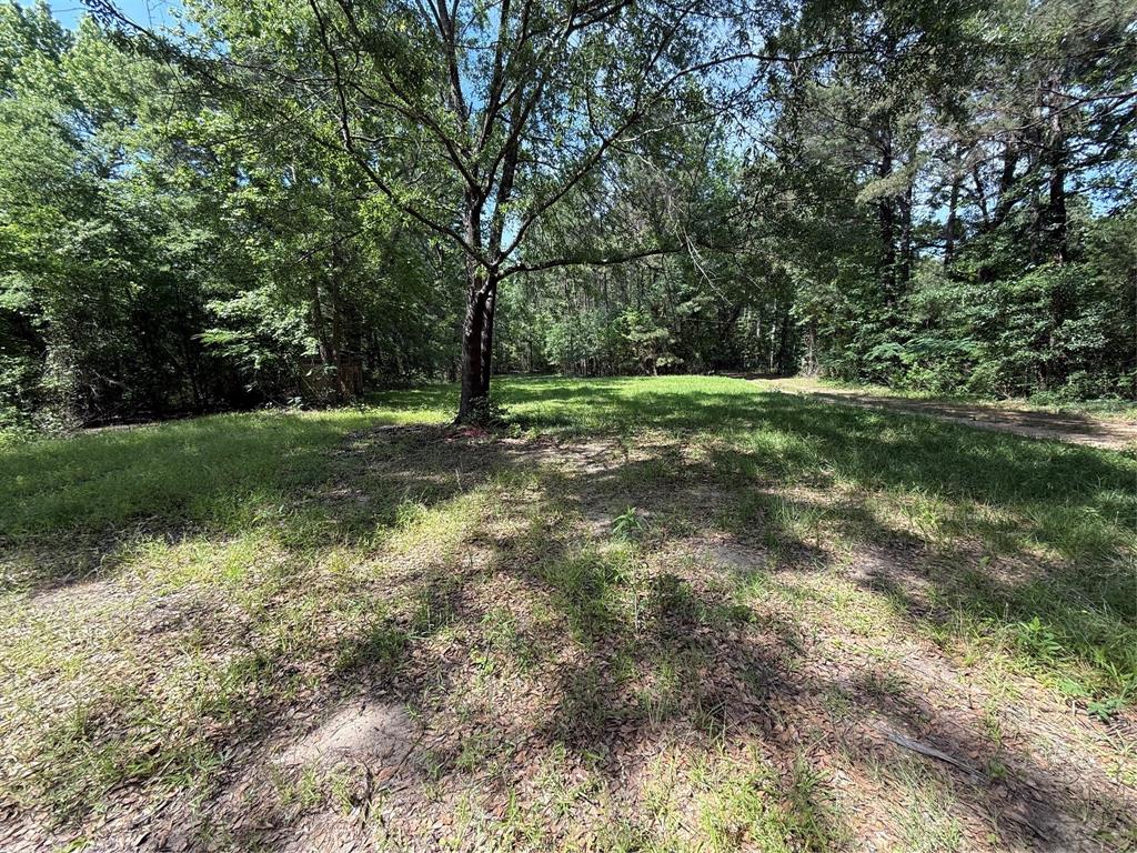 11756 Catfish Road Vivian, LA 71082 - Photo 15 of 17 Looking from the cabin towards the acre end