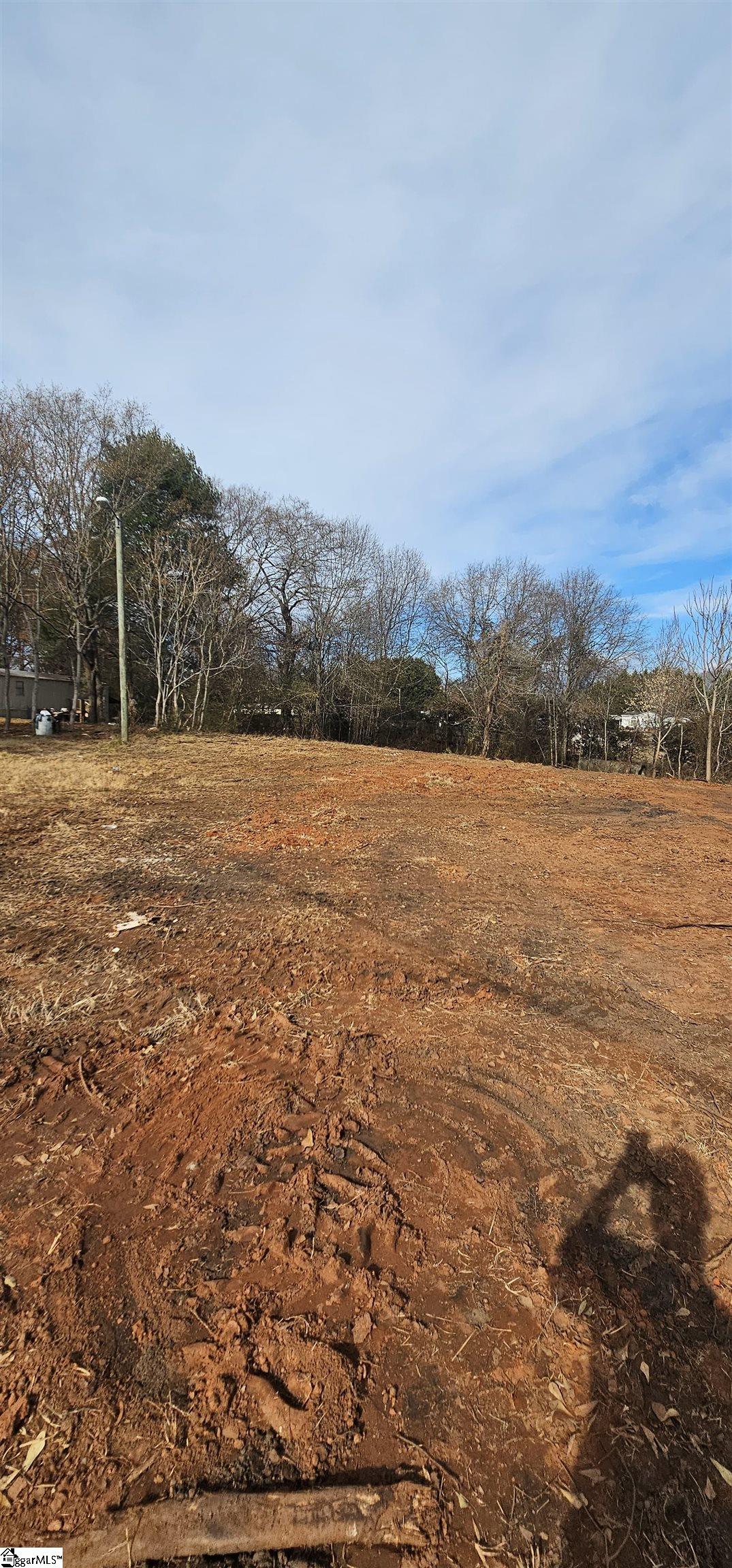 265 Reese Avenue Greer, SC 29651 - Photo 5 of 8