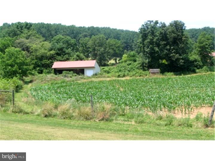 69 Church Hill Road Barto, PA 19504 - Photo 10 of 24 View from Front Door