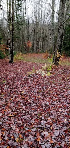 $105,000 | 102 Albany Road, Unit LOT A, Eden, VT 05653