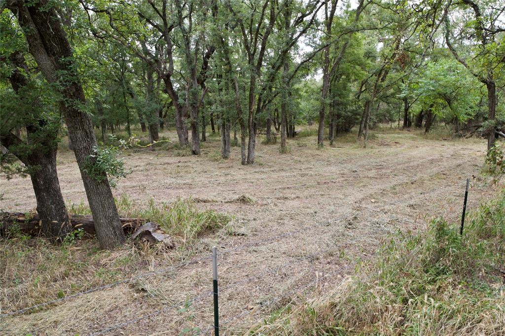 Tbd Garner- Adell Road Weatherford, TX 76088 - Photo 12 of 25 a view of a forest filled with trees