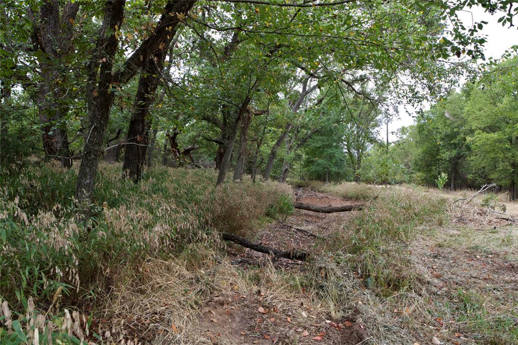 Tbd Garner- Adell Road Weatherford, TX 76088 - Photo 22 of 25 a view of a forest with trees