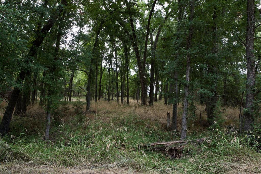 Tbd Garner- Adell Road Weatherford, TX 76088 - Photo 23 of 25 a view of a forest
