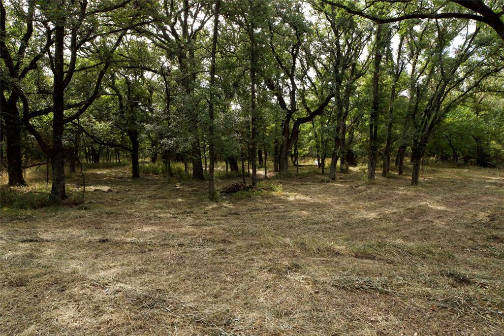 Tbd Garner- Adell Road Weatherford, TX 76088 - Photo 25 of 25 a view of outdoor space with trees